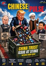 Chinese Pulse