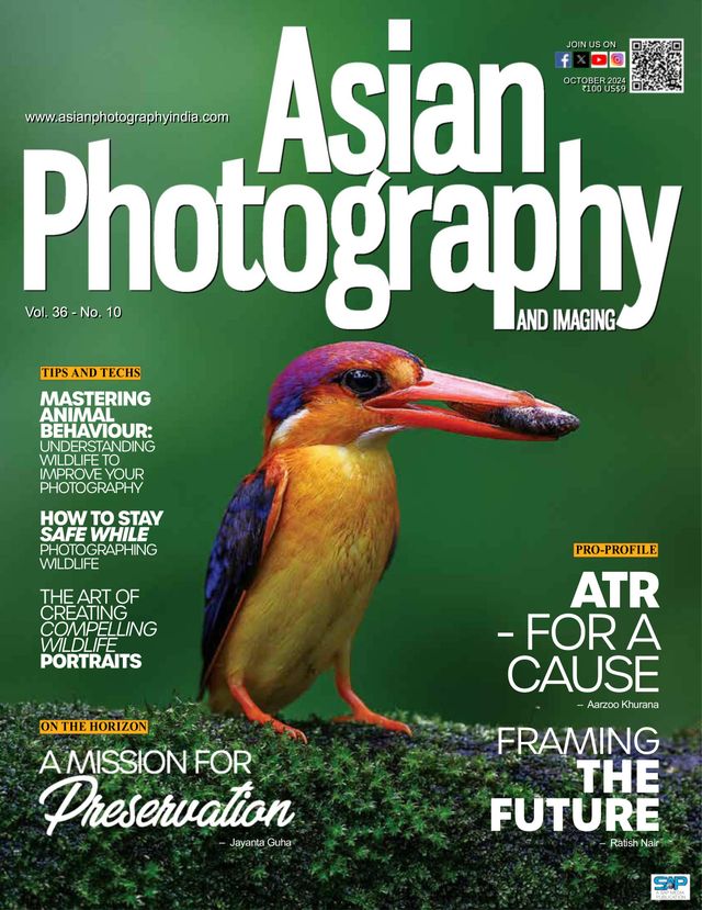 Asian Photography