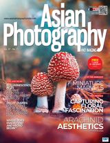 Asian Photography