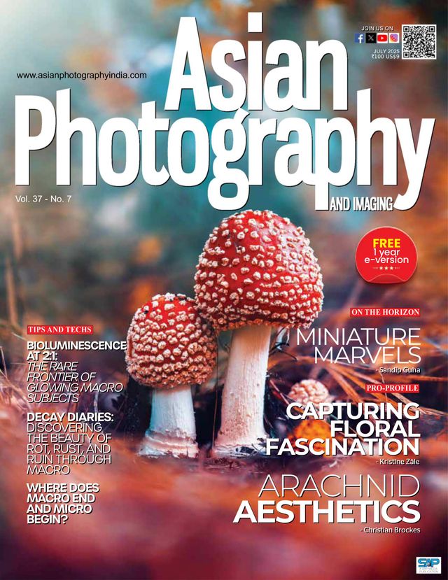 Asian Photography
