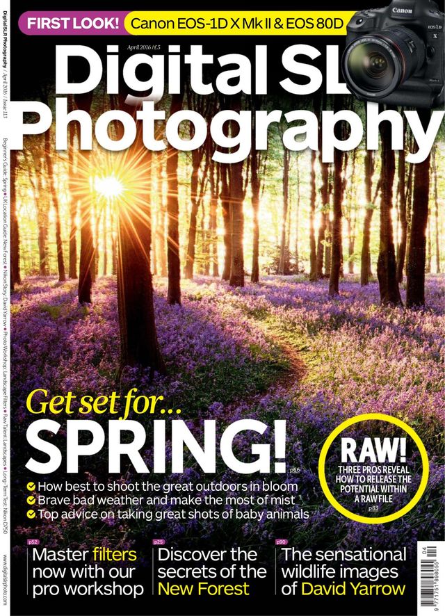 Digital SLR Photography