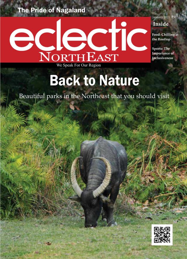 Eclectic Northeast