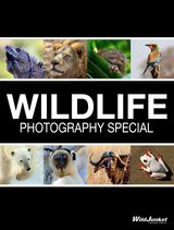 Photography Special - Wildlife