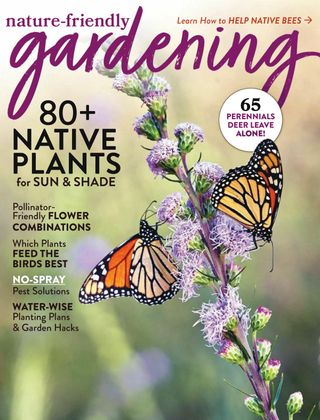 magazine
