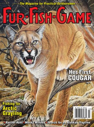 magazine