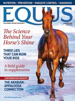 magazine